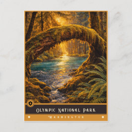 Olympic National Park | Oude ansichtkaart Briefkaart