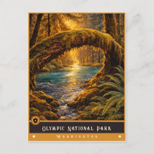 Olympic National Park Oude ansichtkaart Briefkaart