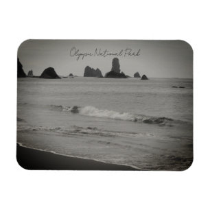 Olympic National Park Seascape Foto Magn Magneet
