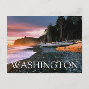 Olympic National Park   Staat Washington Hartelijk Briefkaart