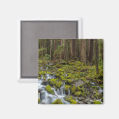Olympic National Park, staat Washington Magneet (Voorkant / Achterkant)