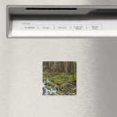 Olympic National Park, staat Washington Magneet (Insitu (Vaatwasser))