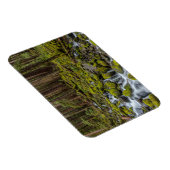 Olympic National Park, staat Washington Magneet (Rechterzijde)
