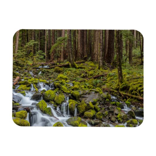 Olympic National Park, staat Washington Magneet (Horizontaal)