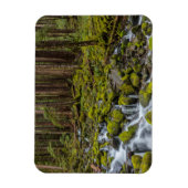 Olympic National Park, staat Washington Magneet (Verticaal)