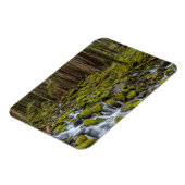 Olympic National Park, staat Washington Magneet (Linkerzijde)