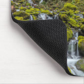 Olympic National Park, staat Washington Muismat (Hoek)