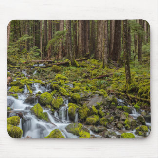 Olympic National Park, staat Washington Muismat
