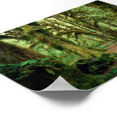 Olympic National Park, WA 2 Poster (Hoek)