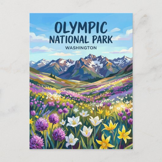 Olympic National Park Washington Briefkaart (Voorkant)