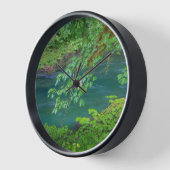 Olympic National Park Washington State (Hoek)