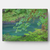 Olympic National Park Washington State Fotoplaat (voorkant)