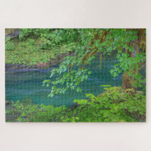 Olympic National Park Washington State Legpuzzel