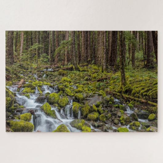 Olympic National Park, Washington State Legpuzzel (Horizontaal)