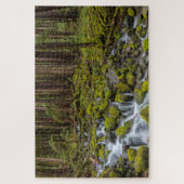 Olympic National Park, Washington State Legpuzzel (Verticaal)