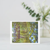 OLYMPIC NATIONAL PARK - WASHINGTON VERENIGDE STATE BRIEFKAART (Staand voorkant)