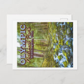 OLYMPIC NATIONAL PARK - WASHINGTON VERENIGDE STATE BRIEFKAART (Voorkant / Achterkant)