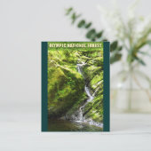 OLYMPIC NAT'L FOREST-Waterfall Briefkaart (Staand voorkant)