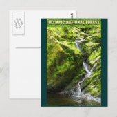 OLYMPIC NAT'L FOREST-Waterfall Briefkaart (Voorkant / Achterkant)