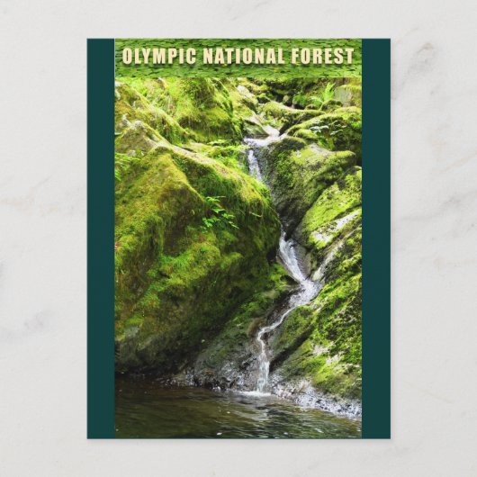 OLYMPIC NAT'L FOREST-Waterfall Briefkaart (Voorkant)
