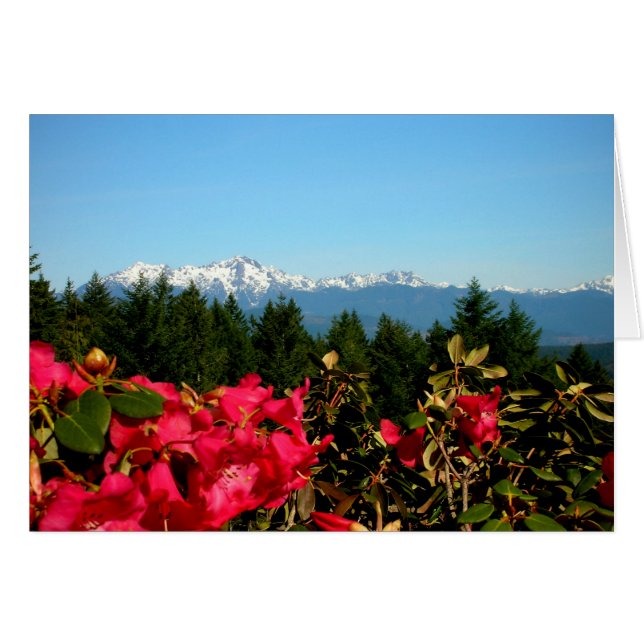 Olympisch gebergte en rododenrennen (Voorkant Horizontaal)