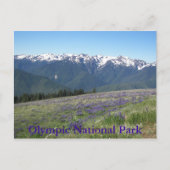 Olympisch Nationaal Park Bergen en Meadows Briefkaart (Voorkant)