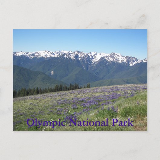 Olympisch Nationaal Park Bergen en Meadows Briefkaart (Voorkant)