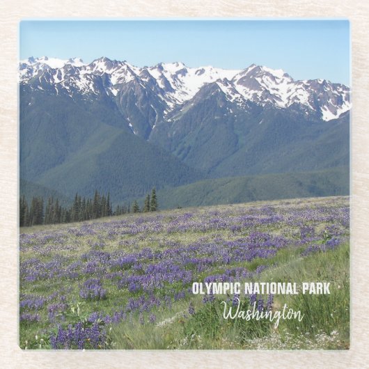 Olympisch Nationaal Park Bergen en Meadows Glazen Onderzetter (Voorkant)