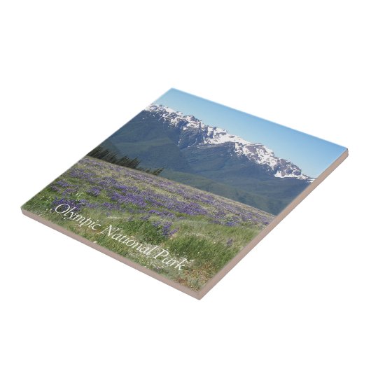 Olympisch Nationaal Park Bergen en Meadows Tegeltje (Zijkant)