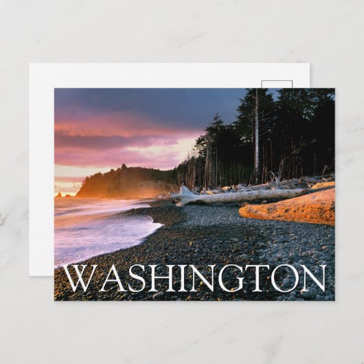 Olympisch Nationaal Park | de staat Washington Briefkaart (Voorkant / Achterkant)