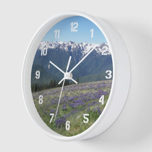 Olympisch Nationaal Park Landschap (Hoek)