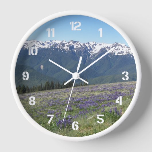 Olympisch Nationaal Park Landschap (Voorkant)