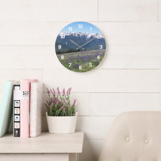 Olympisch Nationaal Park Landschap Grote Klok (Leeskamer)