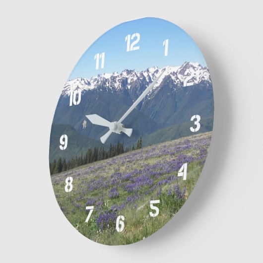 Olympisch Nationaal Park Landschap Grote Klok (Hoek)