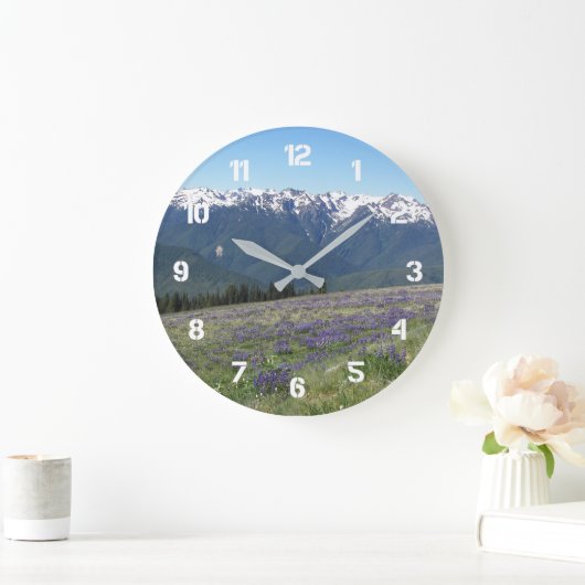 Olympisch Nationaal Park Landschap Grote Klok (Huis)