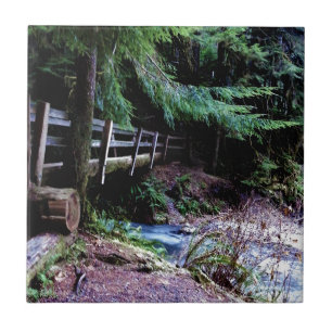Olympisch park Rustic Wooden Bridge Tegeltje
