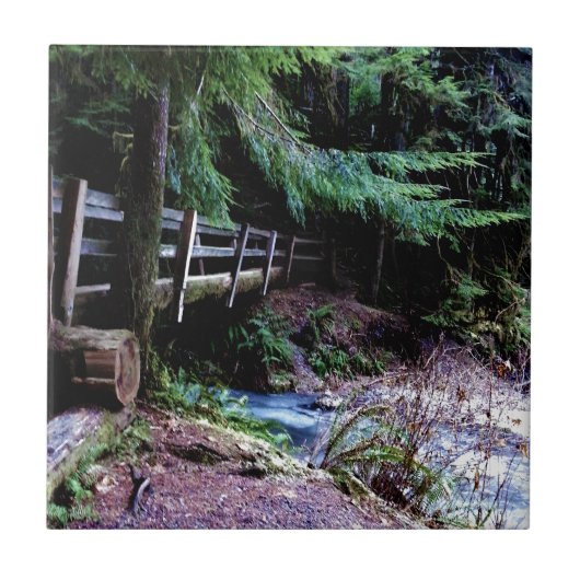 Olympisch park Rustic Wooden Bridge Tegeltje (Voorkant)