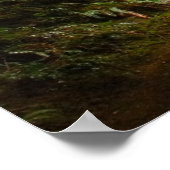 Olympisch regenwoud Evergeens en Mist Foto Poster (Hoek)