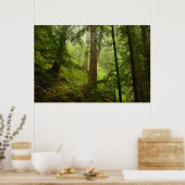 Olympisch regenwoud Evergeens en Mist Foto Poster (Keuken)