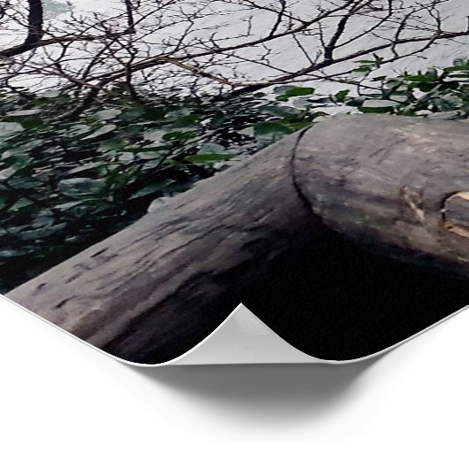 Olympisch schiereiland Cape Flattery - Washington Poster (Hoek)