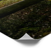 Olympisch schiereiland Cape Flattery - Washington Poster (Hoek)