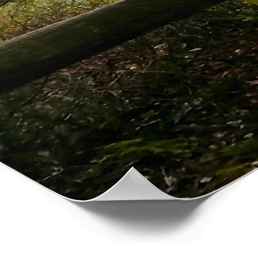 Olympisch schiereiland Cape Flattery - Washington Poster (Hoek)