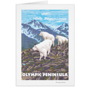 Olympisch schiereiland, Washington Mountain Goats
