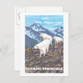 Olympisch schiereiland, Washington Mountain Goats Briefkaart (Voorkant / Achterkant)