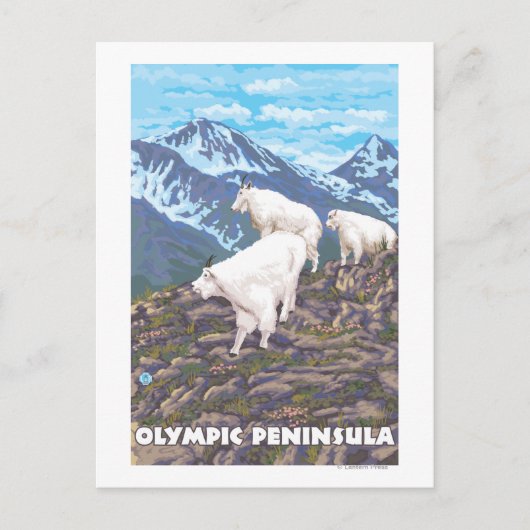 Olympisch schiereiland, Washington Mountain Goats Briefkaart (Voorkant)