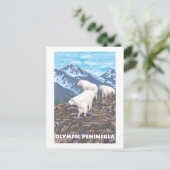 Olympisch schiereiland, Washington Mountain Goats Briefkaart (Staand voorkant)