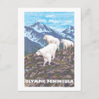 Olympisch schiereiland, Washington Mountain Goats