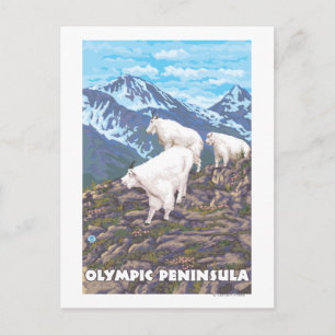Olympisch schiereiland, Washington Mountain Goats Briefkaart