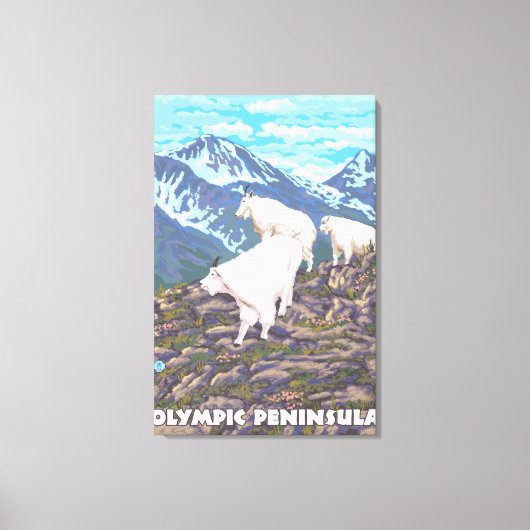 Olympisch schiereiland, Washington Mountain Goats Canvas Afdruk (Voorkant)