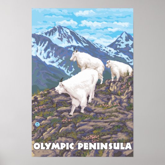 Olympisch schiereiland, Washington Mountain Goats Poster (Voorkant)